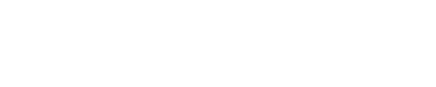 Echo & Insight